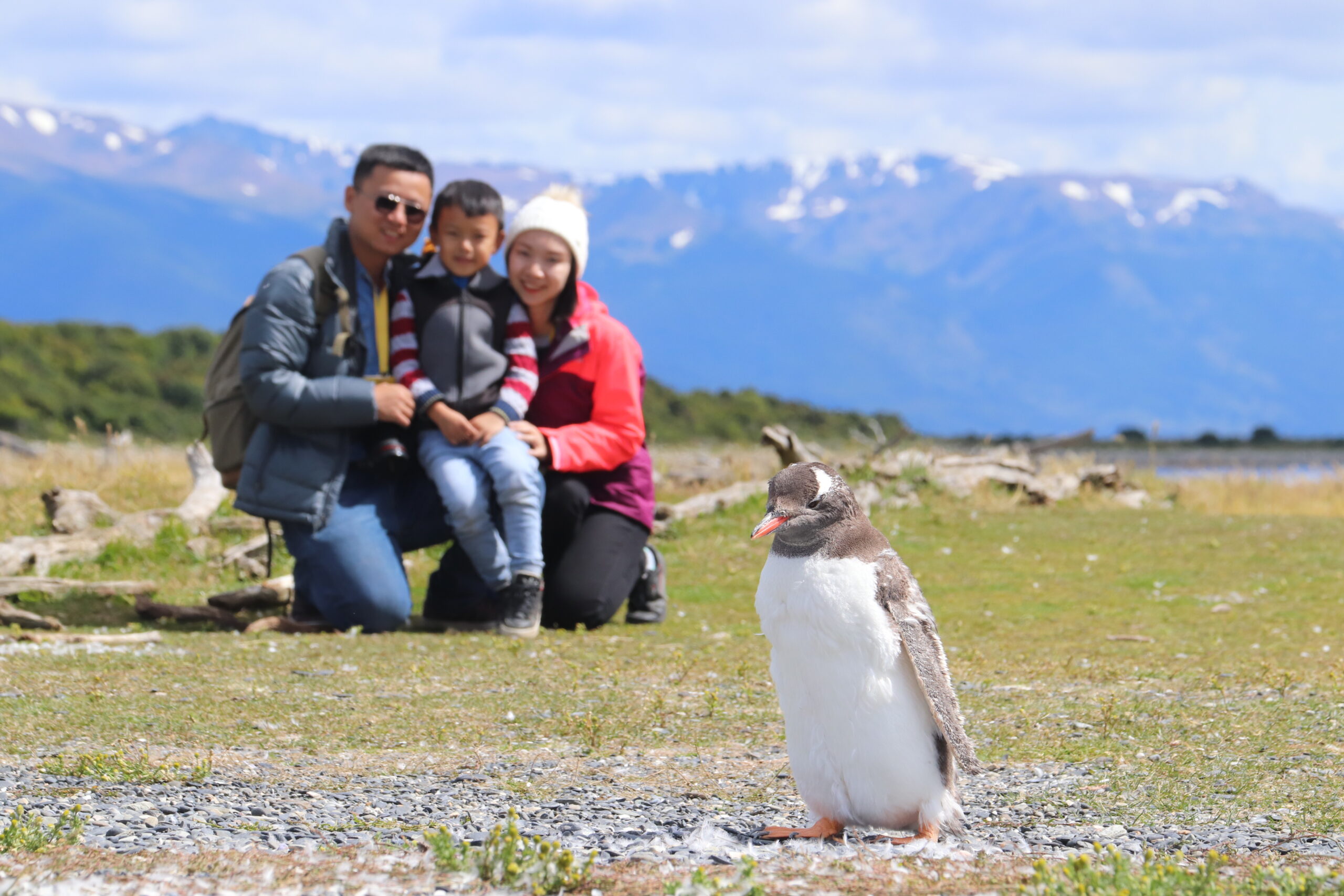 Estancia Harberton Ushuaia Caminata con pinguinos Canal Beagle
